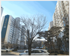  2025Ÿ��12815 �泲 �ƻ�� ����� ������ 1167 ���Ǫ����������Ʈ 111�� 14��1404ȣ   ����Ʈ���