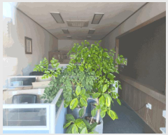  2025Ÿ��12901 �泲 õ�Ƚ� ���ϱ� �鼮�� 1122 �鼮��������������1�� 1��103ȣ    ��,�繫�ǰ��