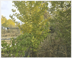  2025Ÿ��12642 �泲 �ƻ�� ������ 361-175       ����(��1)���