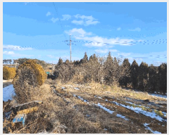  2025Ÿ��50341 �泲 �¾ȱ� ���� ���긮 286-3      ���ð��