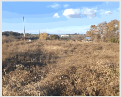  2025Ÿ��886 �泲 ������ �۾��� ���븮 351-2      ����(�Ӿ�)���