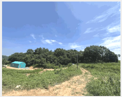  2025Ÿ��769 �泲 ������ ��ȣ���� ���ݸ� 109-8      ����(�Ӿ�)���
