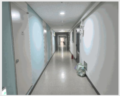  2025Ÿ��9561 �뱸 ������ �λ굿 87-2 �����켾���׶� 9��918ȣ     ���ǽ��ڰ��