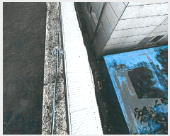  2025Ÿ��8766 �뱸 ���� ����� 1683-5       �ܵ�����,�����ð��