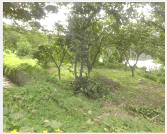 �� ����2 | û���� ��õ�� ��õ�� �� | 2025Ÿ��8926