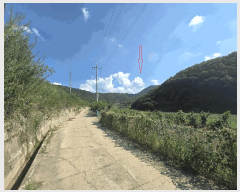 �Ӿ� ����1 | ������ ����� ��ȣ�� �Ӿ� | 2025Ÿ��10267