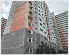  2025Ÿ��31999 �뱸 �޼��� ������ ������ 1146 �������������� 102�� 8��805ȣ   ����Ʈ���