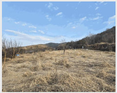  2025Ÿ��32258 ��� ���ֱ� ������ ������ 862      ����(��1)���