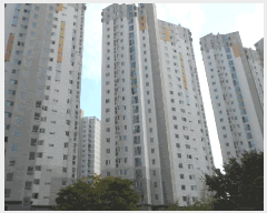  2025Ÿ��2498 �뱸 �޼��� ������ ���� 601 �ϳ�����������ũ 110�� 25��2505ȣ   ����Ʈ���