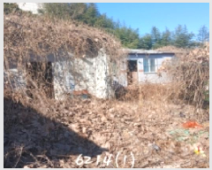 2025Ÿ��6214 �λ� ���屺 �ϱ��� �и� 288      ���ð��
