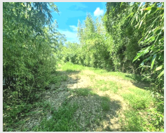  2025Ÿ��5477 �λ� ���屺 ������ ������ 448-1      �������