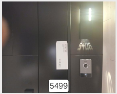  2025Ÿ��5499 �λ� �ؿ�뱸 �ߵ� 1829 ����Ƽ Ÿ�����̵� 54��5406ȣ    ����Ʈ���