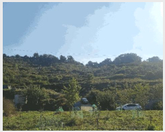  2025Ÿ��12314 �泲 ���ؽ� ������ ���긮 48-7      ����(������)���