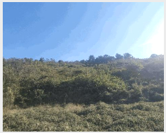  2025Ÿ��12314 �泲 ���ؽ� ������ ���긮 48-7      ����(������)���