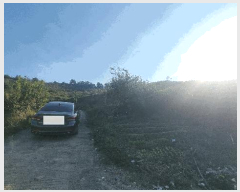  2025Ÿ��12314 �泲 ���ؽ� ������ ���긮 48-7      ����(������)���