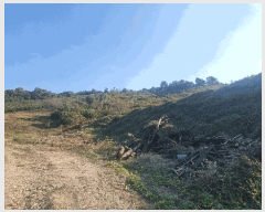  2025Ÿ��12314 �泲 ���ؽ� ������ ���긮 48-7      ����(������)���