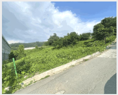  2025Ÿ��522 �泲 ���ؽ� �Ѹ��� ���ϸ� 1158-1      ����(��1)���