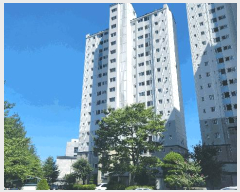 ����Ʈ ����1 | ���ؽ� ������ 1051 ����Ʈ | 2025Ÿ��587