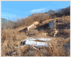  2025Ÿ��11001 �泲 ���ؽ� ������ ������ 27-52      ����(����)���