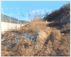  2025Ÿ��11001 �泲 ���ؽ� ������ ������ 27-52      ����(����)���