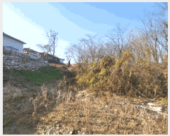 �� ����2 | �Ծȱ� ������ ���׸� �� | 2025Ÿ��20975