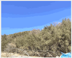  2025Ÿ��21084 �泲 �Ծȱ� ���� ��ϸ� 369-1      ����(��1)���