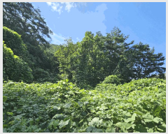 �Ӿ� ����1 | ȭ���� ȭ���� �޳��� �Ӿ� | 2025Ÿ��5603