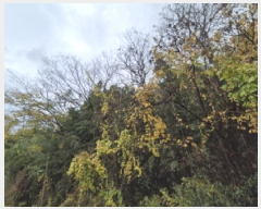 �� ����1 | ��籺 ���ϸ� ������ �� | 2025Ÿ��7197