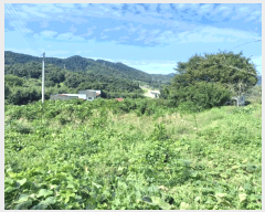 �� ����2 | �强�� ���� ���ɸ� �� | 2025Ÿ��33901