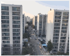 ����Ʈ ����2 | ���ϱ� ��ȣ�� ��縮 ����Ʈ | 2025Ÿ��51576