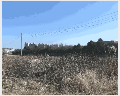  2025Ÿ��31991 ���� ���ֱ� �̼��� ������ 739-1      ����(��1)���