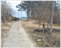  2025Ÿ��20649 ���� �ͻ�� ���յ� 29-23       ����(����)���