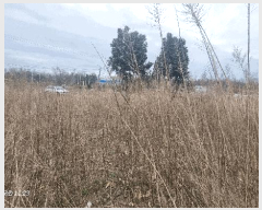 2025Ÿ��20649 ���� �ͻ�� ���յ� 29-23       ����(����)���
