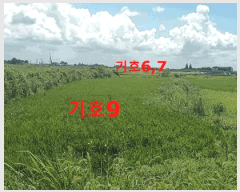  2025Ÿ��21229 ���� �ͻ�� Ȳ��� ���ڸ� 196-3      ����(��)���
