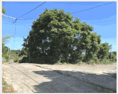  2025Ÿ��1410 ���� �������� �ȴ��� ������ 240-1      ����,â�����