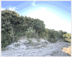 �� ����2 | ���ֽ� ������ �ѵ��� �� | 2025Ÿ��8185