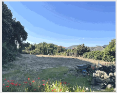  2025Ÿ��8185 ���� ���ֽ� ������ �ѵ��� 11-10      ����(��1)���