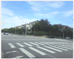  2025Ÿ��4394 ��� ����� �ϻ굿�� ���߻굿 786 �������� 108�� 2��204ȣ   �ټ���,������
