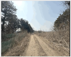  2025Ÿ��62334 ��� ���ֽ� ���ո� ���¸� 90-11      ����(�������)���