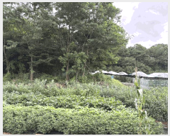  2025Ÿ��52974 ��� �Ȼ�� �ܿ��� ��ε��� 1853-1      ����(��1)���