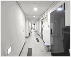 ���ǽ��� ����2 | �Ȼ�� �ܿ��� ���ܵ� ���ǽ��� | 2025Ÿ��53530