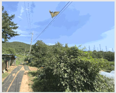  2025Ÿ��52816 ��� �Ȼ�� �ܿ��� ��ε��� 218-14      ����(��1)���