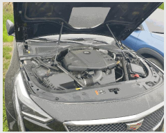  2026Ÿ��100876 �뱸 �ϱ� ��ȣ�� 416 (109��3438) ���丶Ʈ �뱸������    �������