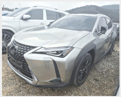  2026Ÿ��100495 �뱸 �ϱ� ��ȣ�� 416       �������