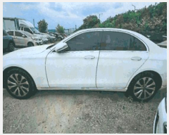  2026Ÿ��100313 �뱸 �ϱ� ��ȣ�� 416       �������