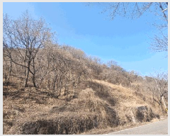 �Ӿ� ����2 | ���ؽ� ������ ���丮 �Ӿ� | 2026Ÿ��20