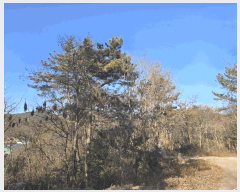 �� ����1 | ������ �Ҷ�� ���θ� �� | 2026Ÿ��50056