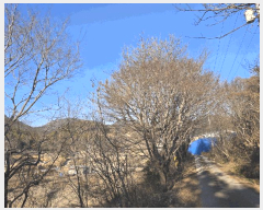 �� ����2 | ������ �Ҷ�� ���θ� �� | 2026Ÿ��50056