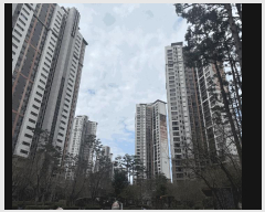  2026Ÿ��60705 ��� ����� �ϻ굿�� �Ļ絿 1487 ����Ƽ�ϻ�����1���� 111�� 26��2603ȣ   ����Ʈ���