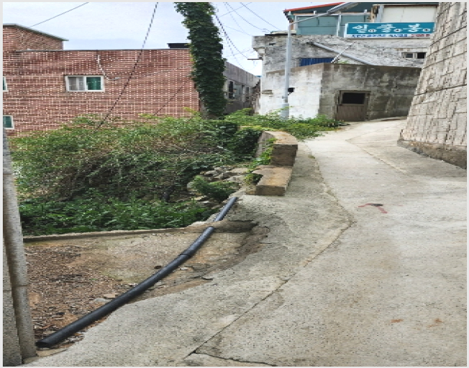 �� 5-�뿵�� �ѻ�� ��ȣ��-��